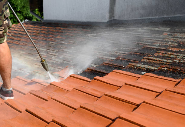 Best House Pressure Washing  in Tri City, OR